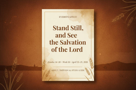 Adult Individual Study Guide